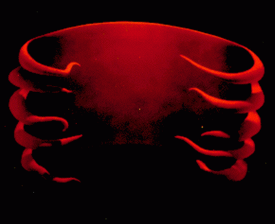 undertow